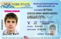 International Drivers License  International Driving Permit